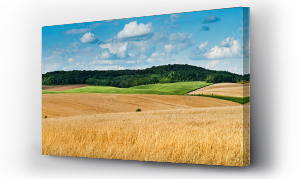 Wizualizacja Obrazu : #298528380 duży panoramiczny widok na krajobraz pola pszenicy, kłosy i żółte i zielone wzgórza