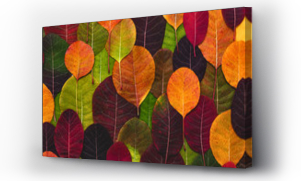 Wizualizacja Obrazu : #298977752 Colorful background made of fallen autumn leaves.