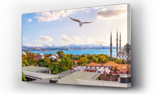 Wizualizacja Obrazu : #299027149 The Blue Mosque, The Hagia Sophia and the Istanbul roofs, beautiful sunny panorama