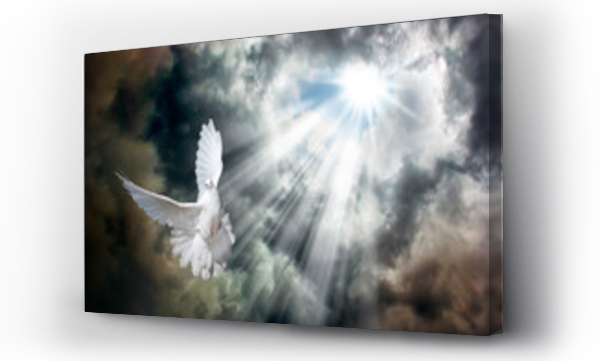 Lecący biały gołąb na tle burzowego nieba