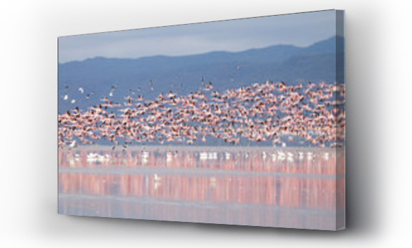 Wizualizacja Obrazu : #300145789 Stado różowych flamingów z jeziora Manyara, Tanzania