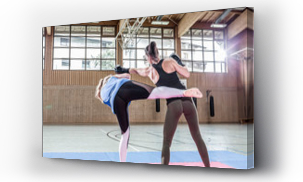 Wizualizacja Obrazu : #301220459 Female kickboxers practicing in sports hall