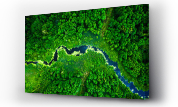 Wizualizacja Obrazu : #303068993 Niesamowite kwitnące algi na zielonej rzece, widok z lotu ptaka