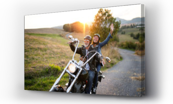 Wizualizacja Obrazu : #303566864 Wesoła starsza para podróżników z motocyklem na wsi.