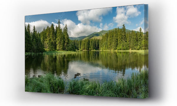 jezioro w lesie w niższych górach tatry