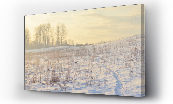 Wizualizacja Obrazu : #306154698 Zimowy pejza? - panorama