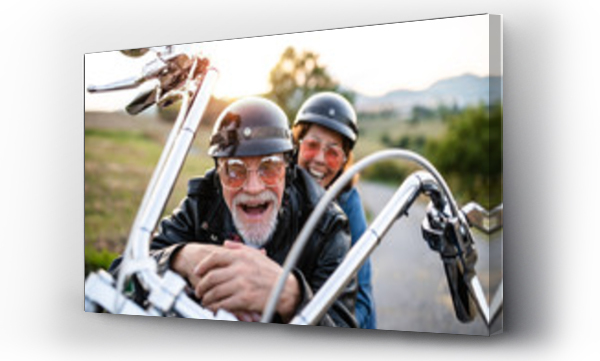 Wizualizacja Obrazu : #306961393 Wesoła starsza para podróżników z motocyklem na wsi.