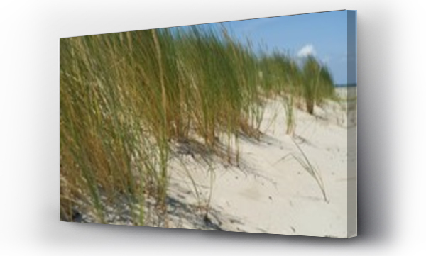 Wizualizacja Obrazu : #307368905 PIasek i trawa na wydmach nad morzem