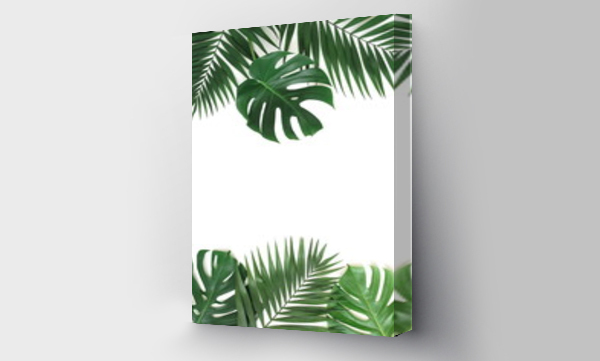 Wizualizacja Obrazu : #310718345 tropical green palm, monstera leaves , branches frame isolated on a white background. top view.copy space.abstract.