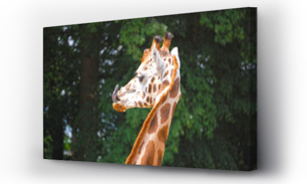 Wizualizacja Obrazu : #31151220 Smacznego