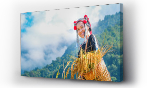 Wizualizacja Obrazu : #315276030 A beautiful farmer girl with straw in rice fields in northern Thailand.