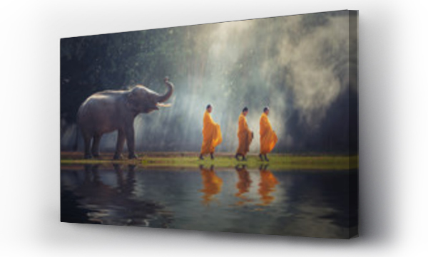 Tajlandia Buddyjscy mnisi chodzą zbierając jałmużnę ze słoniem to tradycyjna religia Buddyzm na wierze Tajowie
