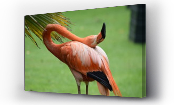 Wizualizacja Obrazu : #316020189 pink flamingo 