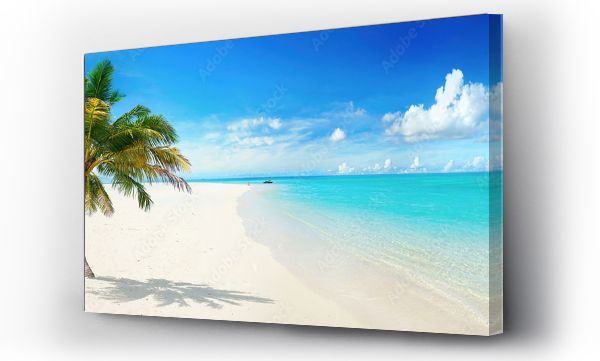 Wizualizacja Obrazu : #316765502 Piękna palma na tropikalnej plaży na wyspie na tle niebieskiego nieba z białymi chmurami i turkusowy ocean w słoneczny dzień. Idealny naturalny krajobraz na letnie wakacje, ultra szeroki format.
