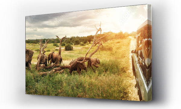 afryka, safari, sri lanka