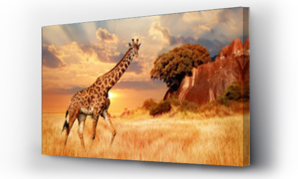 Gepardy na afrykańskiej sawannie na tle pięknego zachodu słońca. Park Narodowy Serengeti. Tanzania. Afryka.