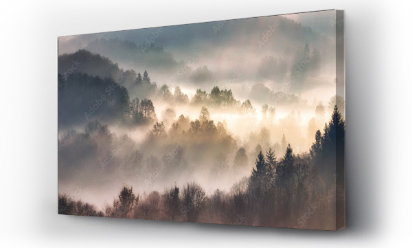 las, natura, promienie