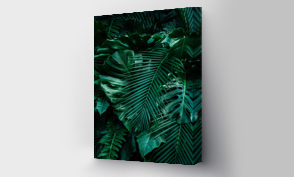 Wizualizacja Obrazu : #322062508 Creative tropikalne monstera liść struktura renderowania Koncepcja, zielony wiosna, wiosna, natura, płaskie