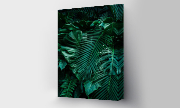 monstera