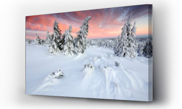 drzewo, góry, wschód słońca karkonosze