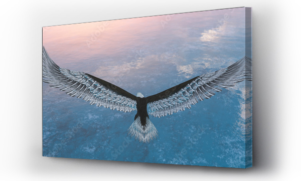 Orzeł lecący z wodą