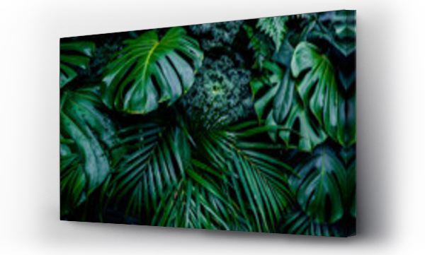 Wizualizacja Obrazu : #323239995 Tropical green leaves background