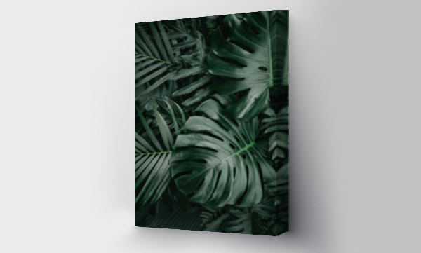 Wizualizacja Obrazu : #323272431 Monstera green leaves or Monstera Deliciosa in dark tones, background or green leafy tropical pine forest patterns for creative design elements. Philodendron monstera textures