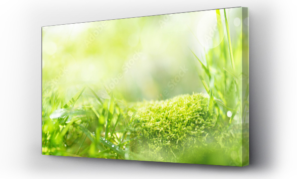 Wizualizacja Obrazu : #325385278 Meadow landscape with bright bokeh