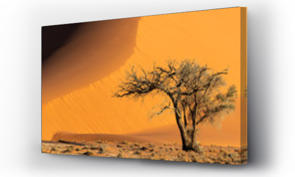 Wydma piaskowa, Park Narodowy Namib-Naukluft, Sesriem, Namibia