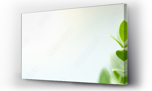 Wizualizacja Obrazu : #326742415 Close up of nature view green leaf on blurred greenery background under sunlight with bokeh and copy space using as background natural plants landscape, ecology cover concept.