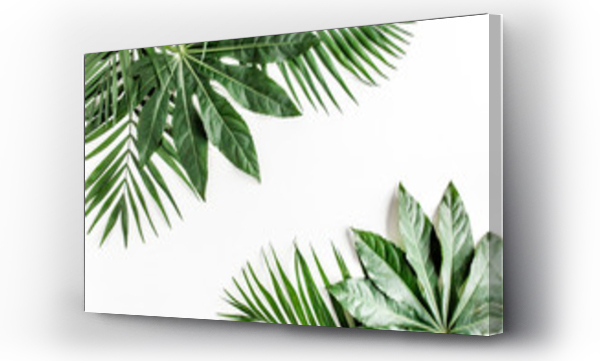 Wizualizacja Obrazu : #327150033 Tropical palm leaves Aralia isolated on white background. Tropical nature concept.