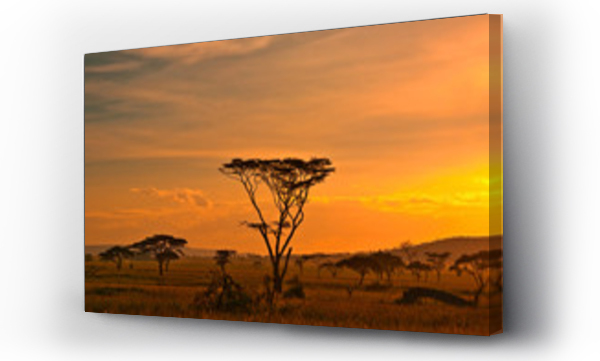 Afrykański zachód słońca w Parku Narodowym Serengeti, Tanzania