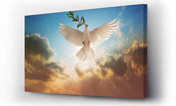 Biały gołąb niosący gałązkę liścia oliwnego na Piękne światło i lens flare .Koncepcja wolności i międzynarodowy dzień pokoju