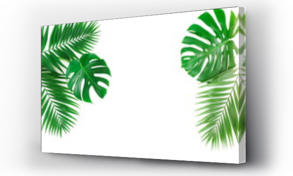 Wizualizacja Obrazu : #328627930 tropical green palm, monstera leaves , branches frame isolated on a white background. top view.copy space.abstract.