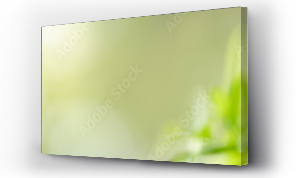 Wizualizacja Obrazu : #332478016 Close up beautiful nature view green leaf on blurred greenery background under sunlight with bokeh and copy space using as background natural plants landscape, ecology cover concept.