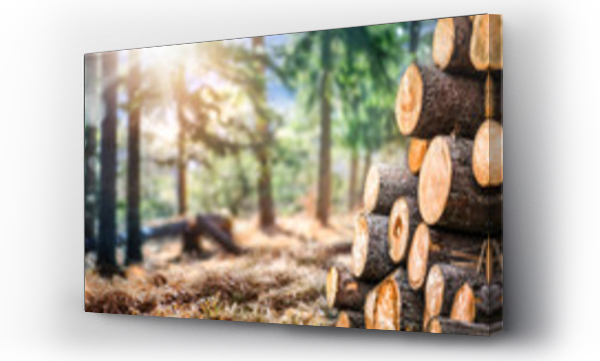 Wizualizacja Obrazu : #333211929 Las sosna i świerk drzewa. Stosy pni drzewnych, przemysł drzewny przy wyrębie lasu. Szeroki banner lub panorama drewniane pnie.
