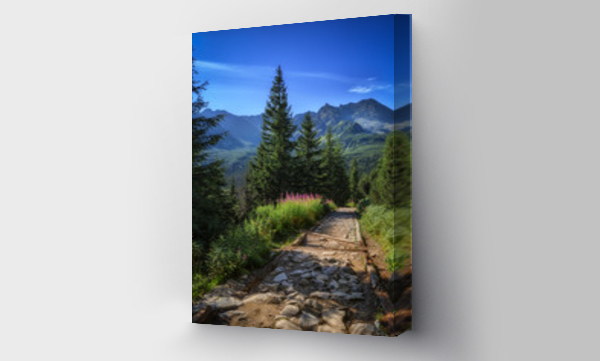 góry, Hala gasienicowa, Tatry, Tatry Wysokie