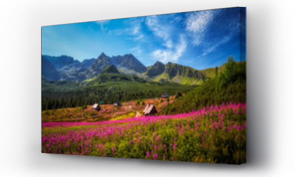 góry, Hala gasienicowa, kościelec, naturalne, naturalne krajobrazy, Tatry, tatry lato, łąka
