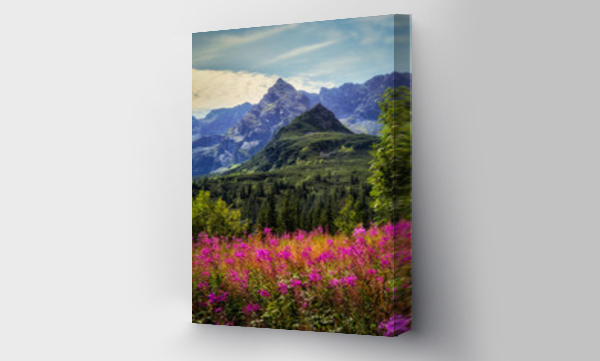 góry, Hala gasienicowa, kościelec, Tatry, tatry lato, Tatry Wysokie