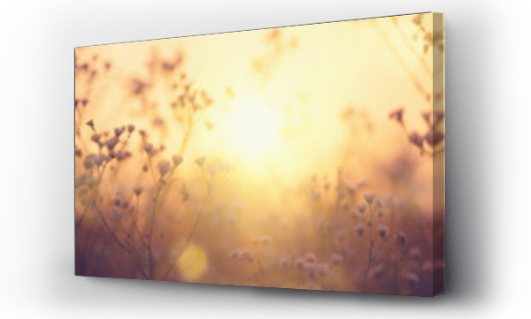 Natura tło. Piękna łąka z dzikich kwiatów na zachód słońca niebo. Piękno natury pole tło z sun flare. Wielkanoc tło przyrody. Bokeh, Sylwetki dzikiej trawy i kwiatów.