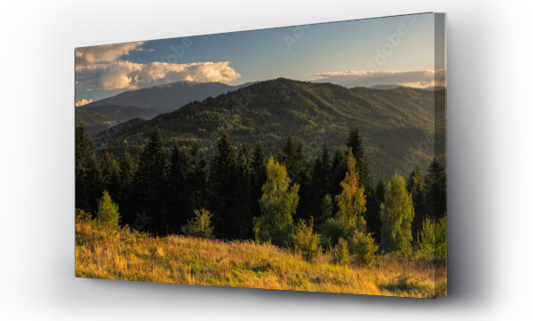 Babia gora, góry, góry karpaty, zamglony las