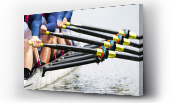 Wizualizacja Obrazu : #34318431 Close up of mens rowing team