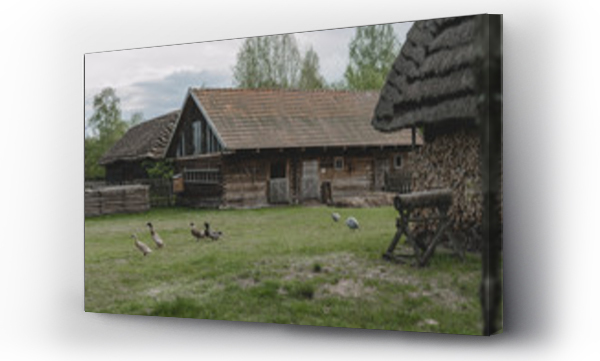 Wizualizacja Obrazu : #344315345 wiejska zagroda