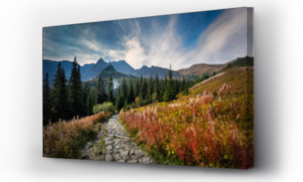 góry, Hala gasienicowa, kościelec, Tatry, zielony