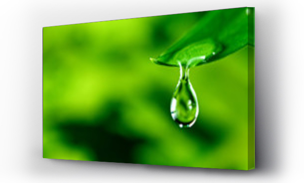 Wizualizacja Obrazu : #344614837 fresh green leaf with water drop, relaxation nature concept