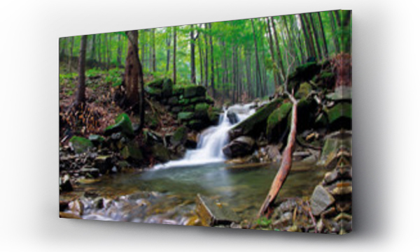 las, pejzaż, Pejzaż górski, strumień