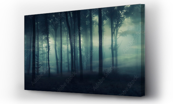 ciemny tajemniczy las panorama, krajobraz fantasy