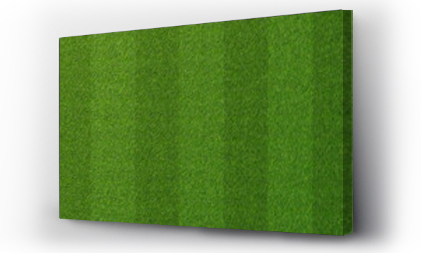 Lawn, Piłka nożna, sport