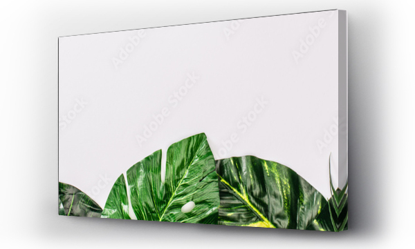 Wizualizacja Obrazu : #348163403 Panoramic shot of top view of leaves of tropical plants on white surface