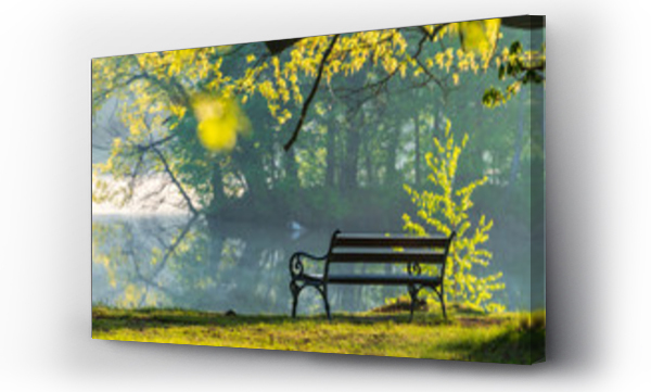 drzewo, park ławeczka, pejzaż, ławka